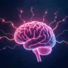Neuroplasticidade