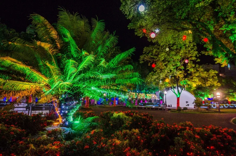 Parque Moscoso - luzes de natal