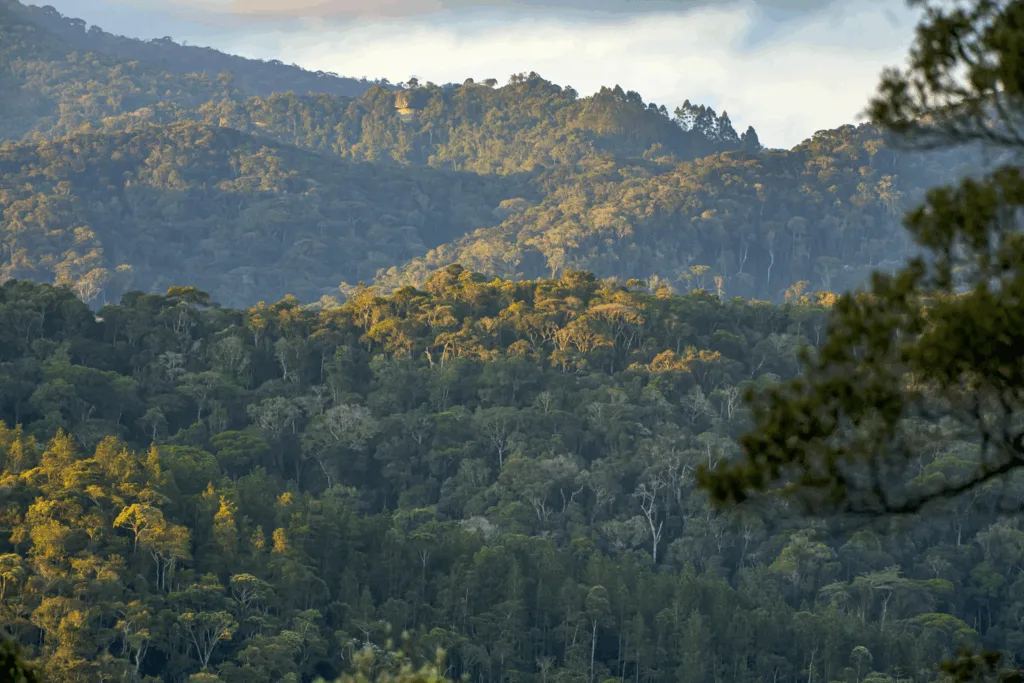 Montanhas Capixabas ao redor da Reserva Águia Branca Paisagem das Montanhas Capixabas, com relevo acidentado, vegetação nativa e clima ameno