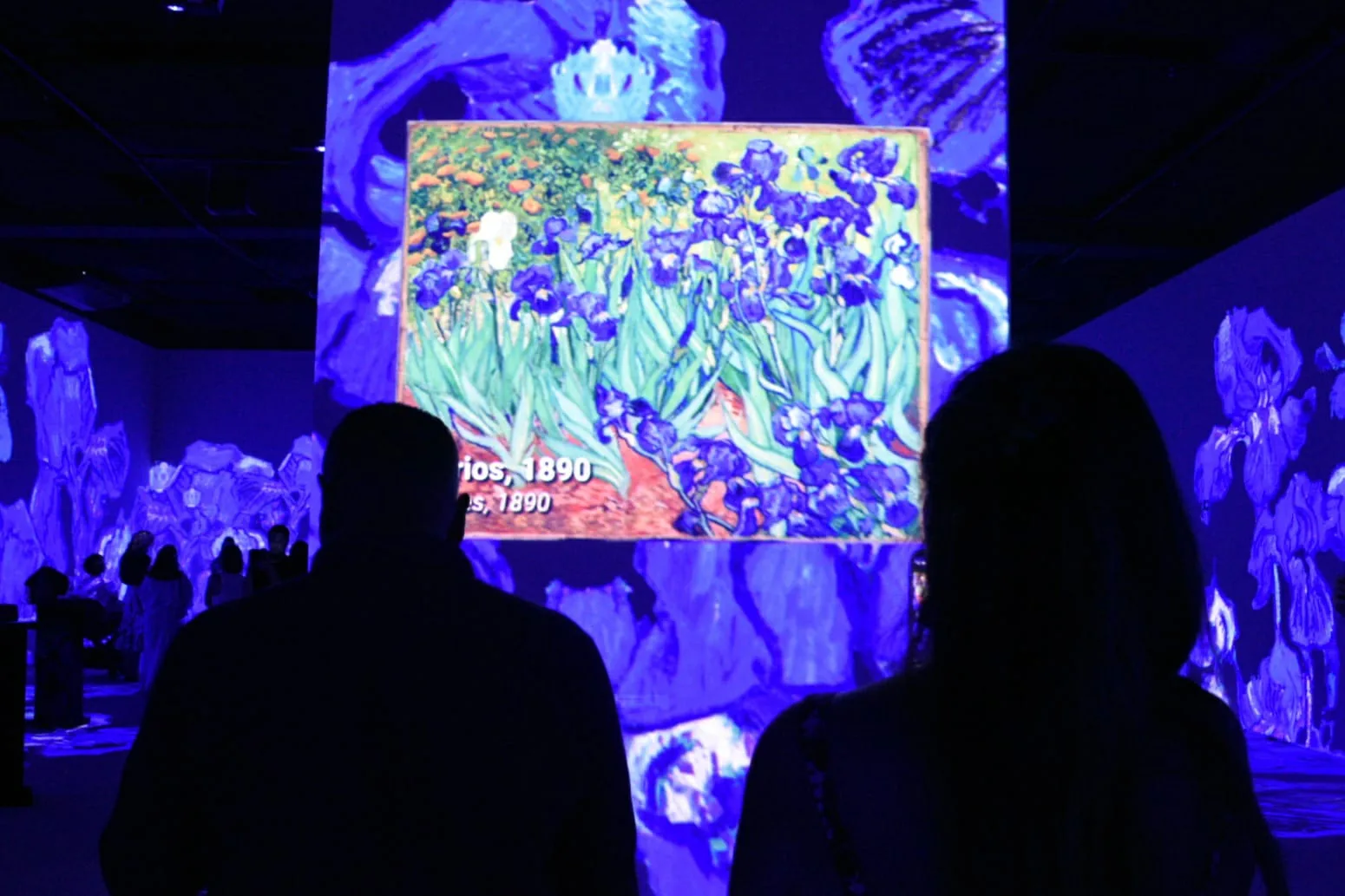 Exposição imersiva de Van Gogh