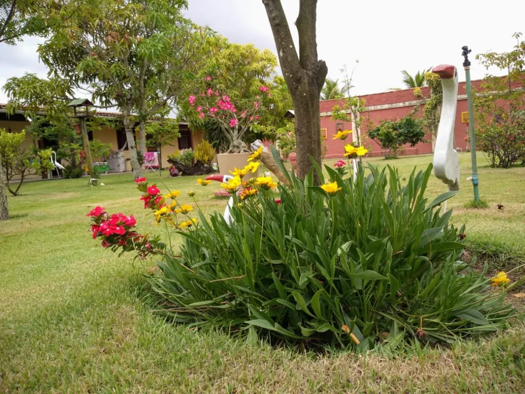 Condomínio Naturista