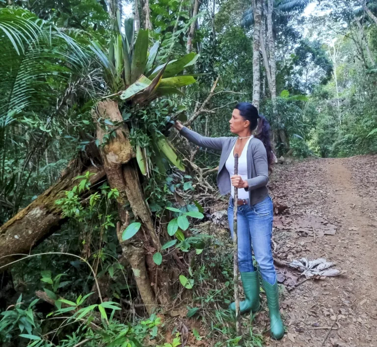 Fabiana Ruas observa bromélia em trilha na floresta enquanto compartilha conhecimentos sobre a palmeira-juçara