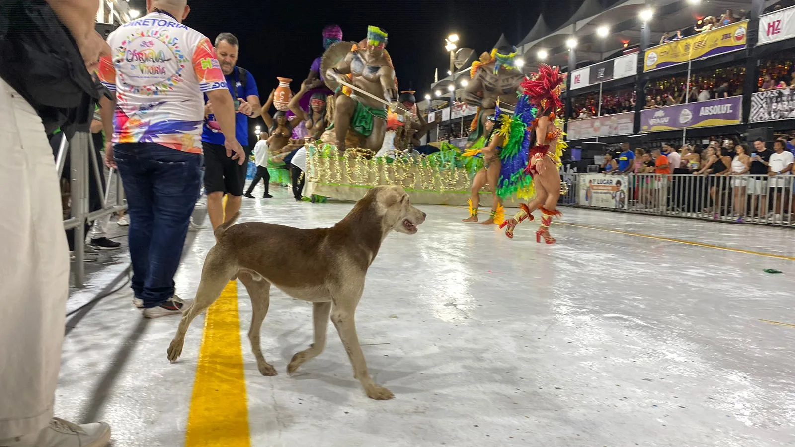 Mocidade da Praia - Carnaval 2024