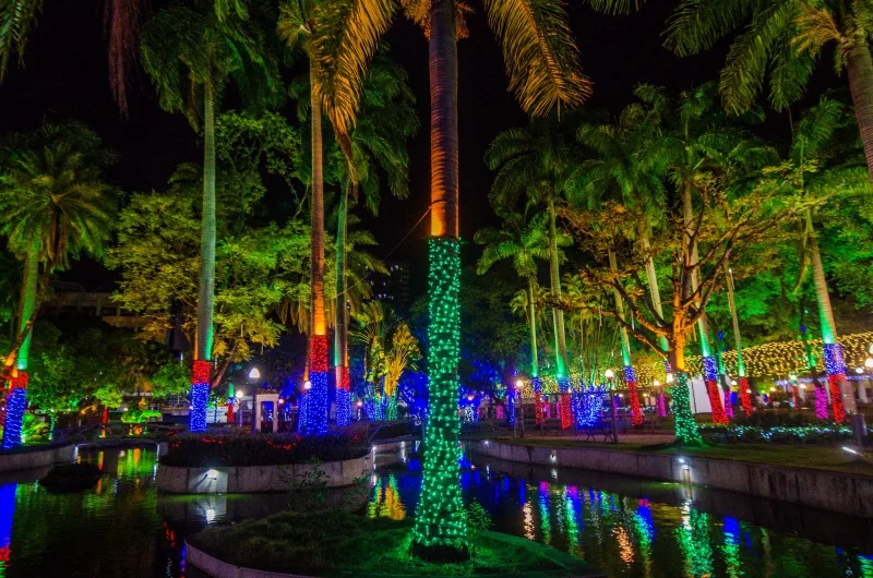 Parque Moscoso - luzes de natal