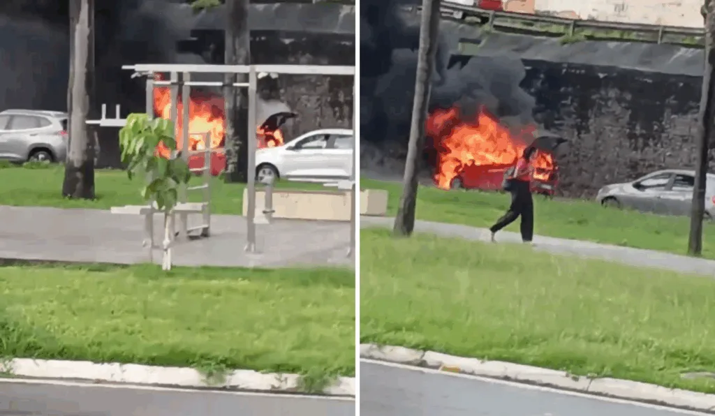 Imagem da matéria