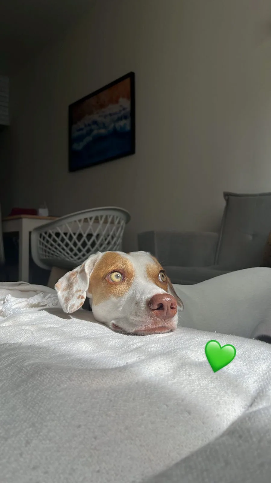 Nala