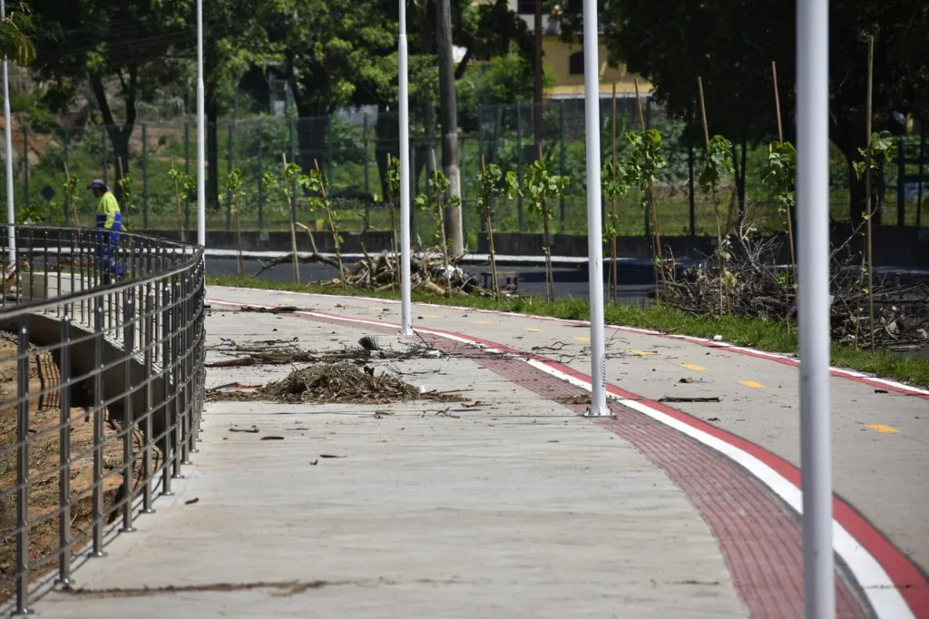 Limpeza da área de preservação da orla