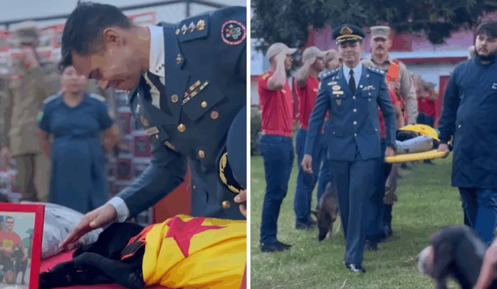 Cadela recebe homenagem após morte Cadela recebe homenagem após morte