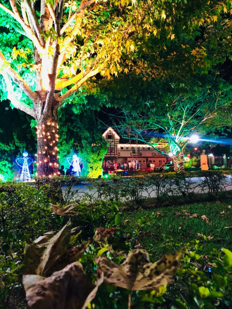 decoração de natal