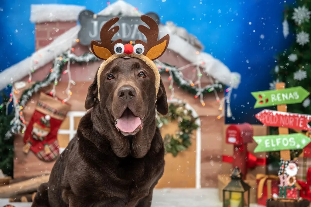 cachorro natal