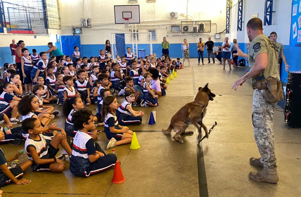 Projeto - Patrulha canina