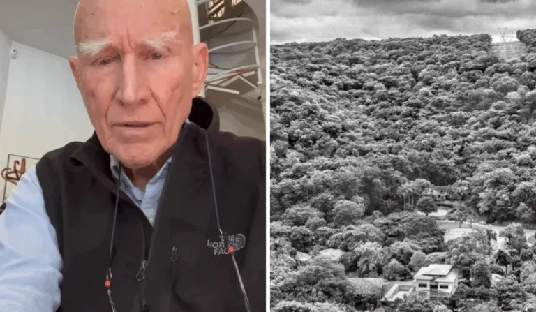 Sebastião Salgado, Insituto Terra
