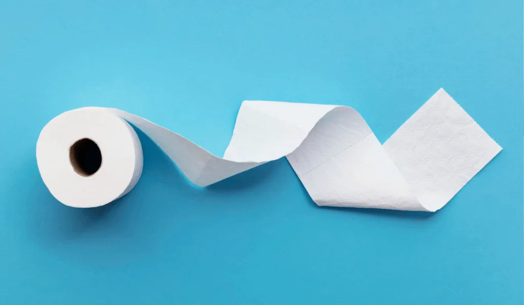 Como colocar o papel higiênico?/Reprodução