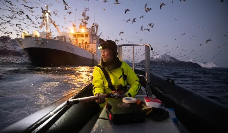 Foto tirada na Noruega venceu o concurso de fotografia Cientista em Ação da revista Nature. Foto: Emma Vogel/ Divulgação Nature