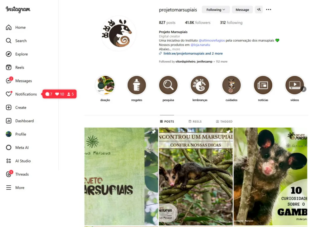 Interface do perfil do Projeto Marsupiais no Instagram, com imagens e conteúdo educativo