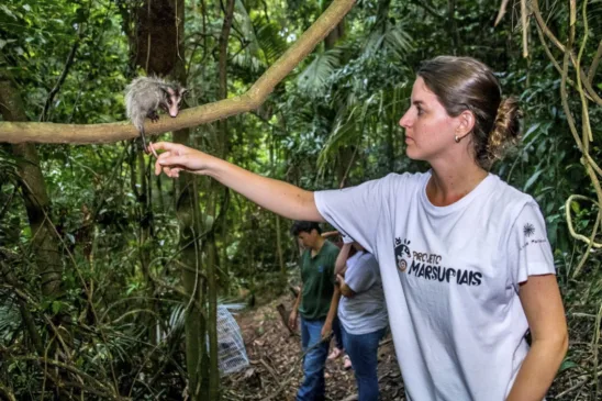 Bióloga Iasmin Macedo segura cuidadosamente um gambá resgatado durante ação de campo do Projeto Marsupiais