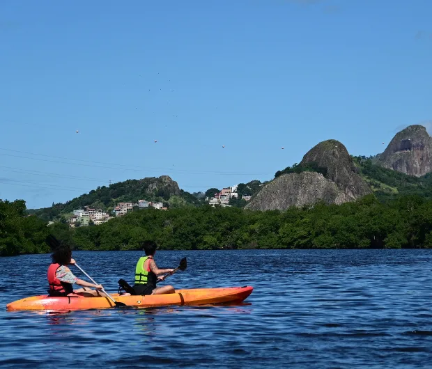 Passeio de caiaque no manguezal
