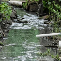 O esgoto deságua no rio Santa Maria na região do Porto Novo, em Cariacica.