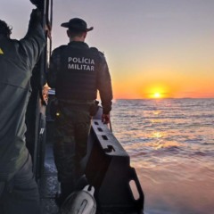 Baleias-jubarte são vistas durante patrulhamento no mar do ES