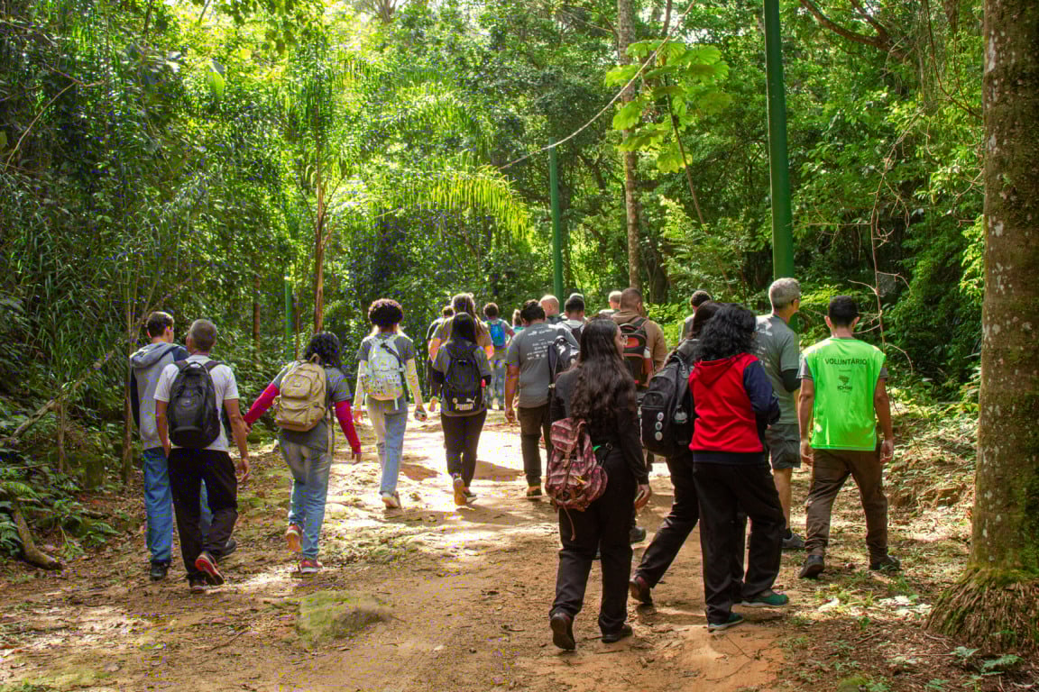 BioBlitz da Mata Atlântica. Foto: Reprodução/Últimos Refúgios BioBlitz da Mata Atlântica. Foto: Reprodução/Últimos Refúgios