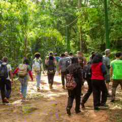 BioBlitz da Mata Atlântica. Foto: Reprodução/Últimos Refúgios