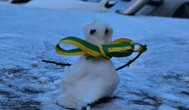 Boneco de neve