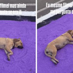 Foto: Reprodução Instagram @Thimonteiiro