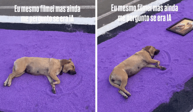 Foto: Reprodução Instagram @Thimonteiiro
