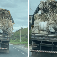 Caminhão carregado de recicláveis em Cariacica