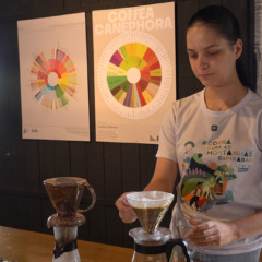 Café vira ferramenta de valorização rural em Venda Nova do Imigrante