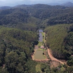 Fazenda Angelita em Santa Teresa (ES)