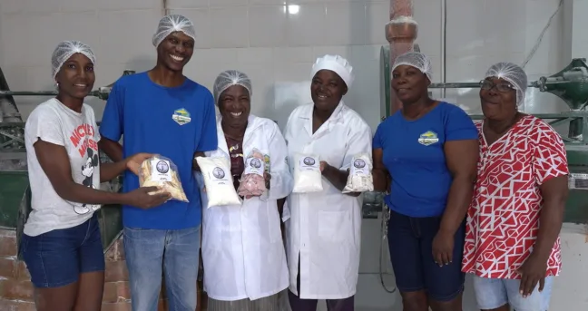 Cadeia produtiva da mandiocultura em São Mateus (ES)