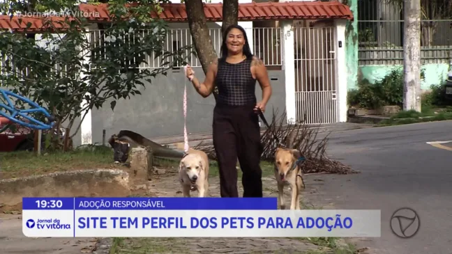 Vitória cria site para incentivar a adoção de pets