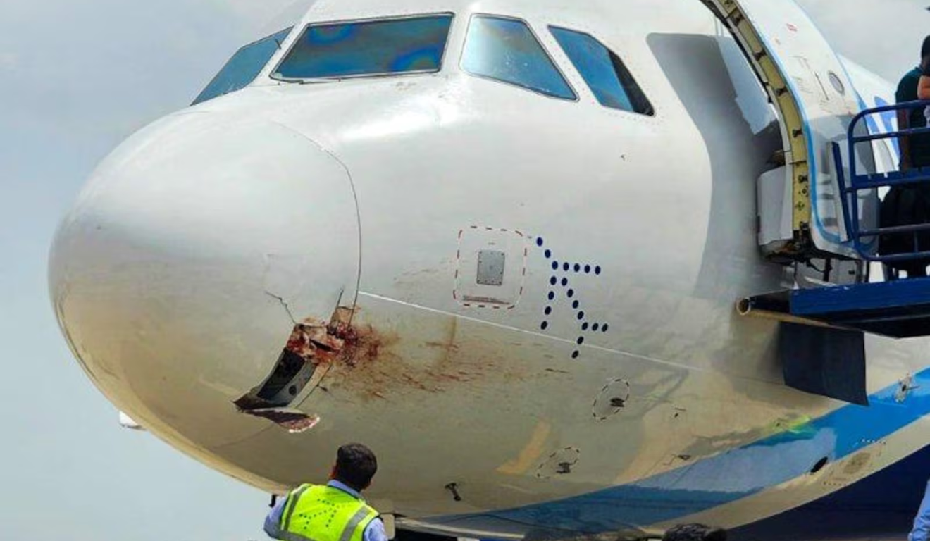 Nariz do avião