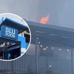 (Foto: Reprodução/Blu food park)