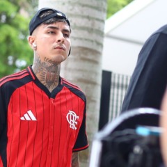 Erick Pulgar Flamengo