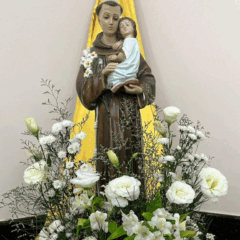 Santo Antônio