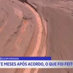 Samarco já reflorestou 40 mil hectares após tragédia em Mariana