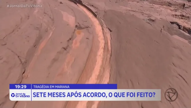 Samarco já reflorestou 40 mil hectares após tragédia em Mariana