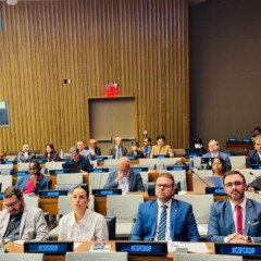 Vanderson Gaburo, representante da Feapaes e Fenapaes, na ONU (primeiro da direita)