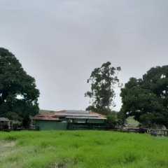 Com energia, solar, haras em Aracruz reduz em mais de 80% a conta de luz
