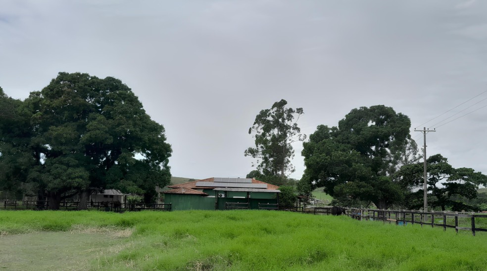 Com energia, solar, haras em Aracruz reduz em mais de 80% a conta de luz
