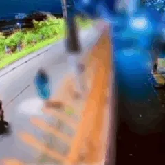 Foto: Divulgação/ Polícia Civil 