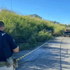 atropelamento rodovia do contorno