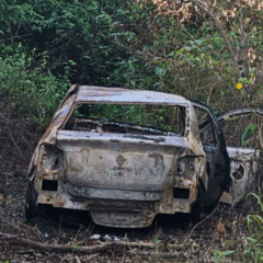 Foto: Guarda de Vila Velha/ Divulgação 