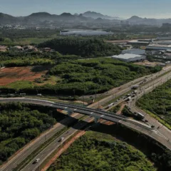 viaduto max mauro