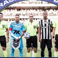 BRASILEIRÃO - Santos x Botafogo - Estádio Urbano Caldeira (01/06/2025)