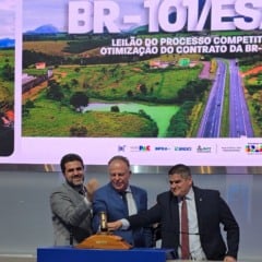 Leilão BR 101