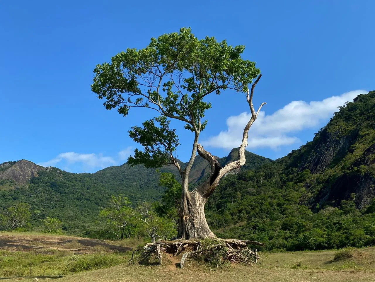 Foto: Thiago Soares/Folha Vitória
