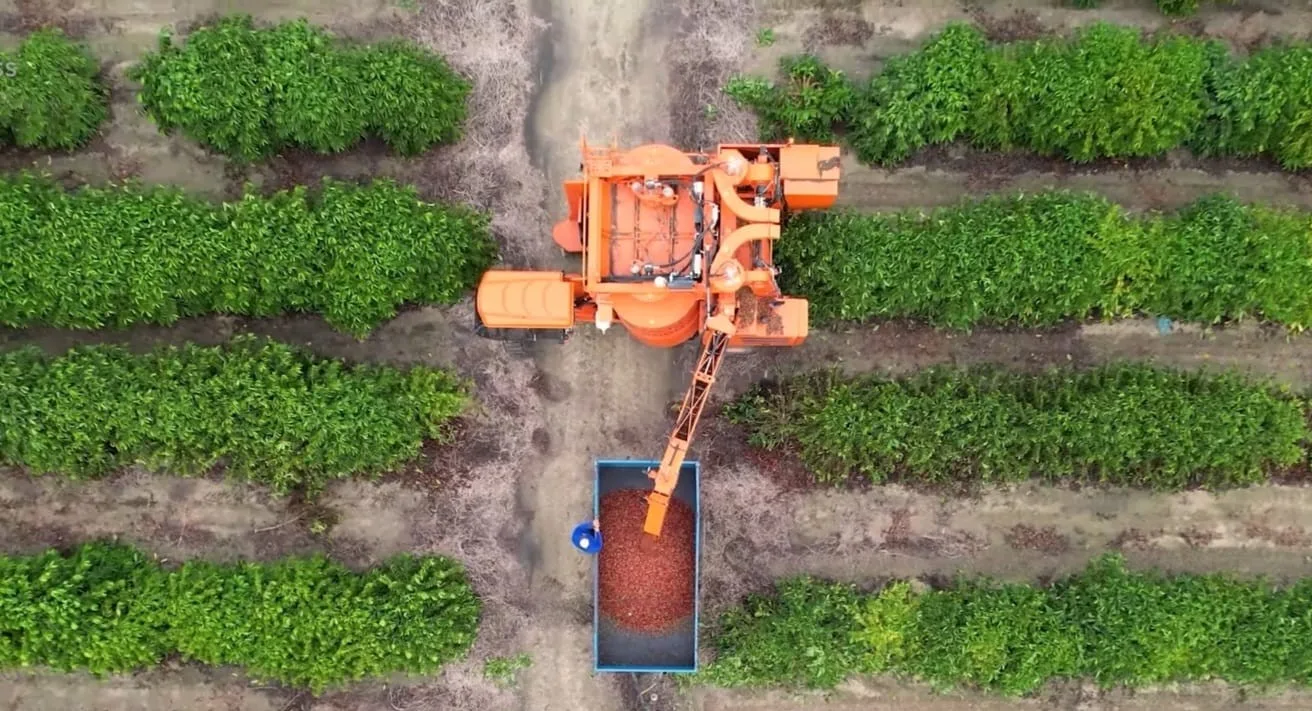 Agropecuária impulsiona desempenho do PIB capixaba no 1º trimestre de 2025, aponta IJSN